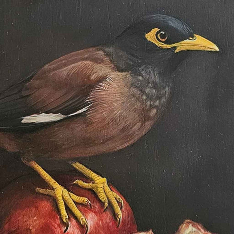Mynah Detail Oil Painting Buy Now on Artezaar.com Online Art Gallery Dubai UAE