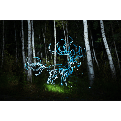Mythical Creatures – Fu Zhu - Digital Art - Artezaar.com Online Art Gallery