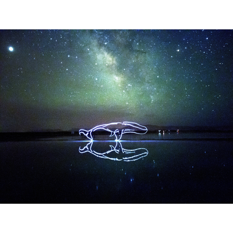Mythical Creatures – Giant Kun - Light Painting Art- Artezaar.com Online Art Gallery
