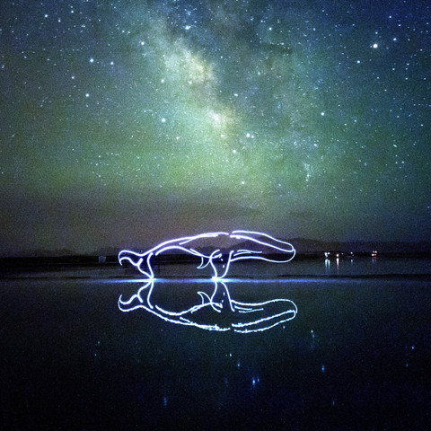 Mythical Creatures – Giant Kun - Light Painting Art- Artezaar.com Online Art Gallery