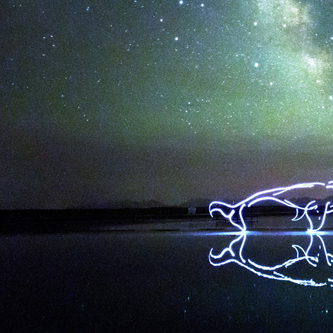 Mythical Creatures – Giant Kun - Light Painting Art- Artezaar.com Online Art Gallery