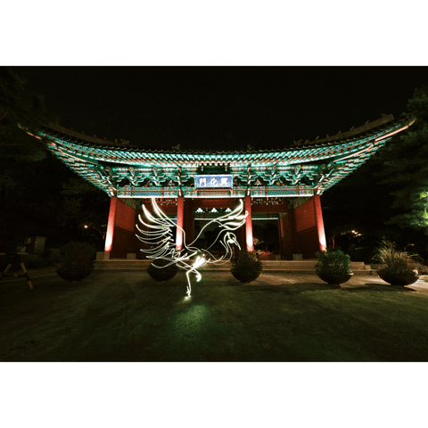 Mythical Creatures – Seoul Crane - Light Painting Art- Artezaar.com Online Art Gallery