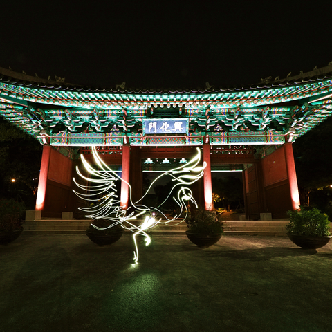 Mythical Creatures – Seoul Crane - Light Painting Art- Artezaar.com Online Art Gallery
