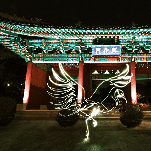Mythical Creatures – Seoul Crane - Light Painting Art- Artezaar.com Online Art Gallery