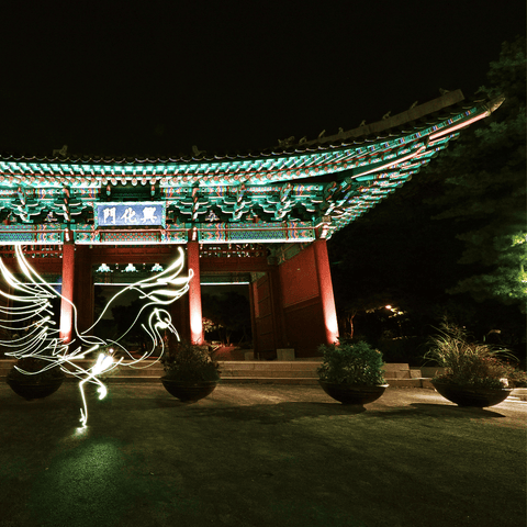 Mythical Creatures – Seoul Crane - Light Painting Art- Artezaar.com Online Art Gallery