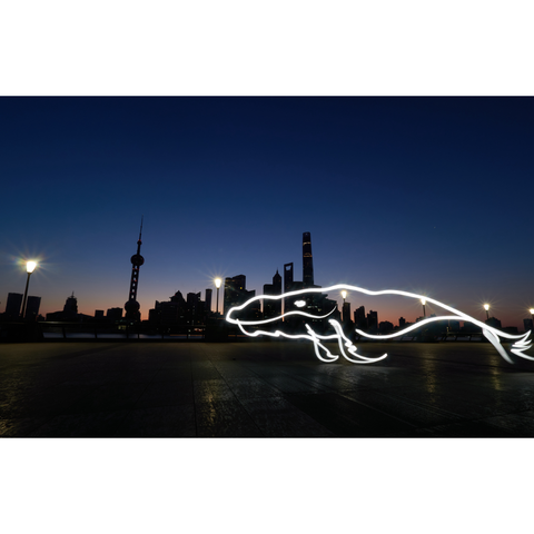 Mythical Creatures – Shanghai Giant Kun  - Light Painting Art- Artezaar.com Online Art Gallery