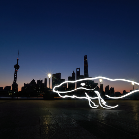 Mythical Creatures – Shanghai Giant Kun  - Light Painting Art- Artezaar.com Online Art Gallery