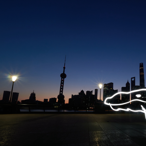 Mythical Creatures – Shanghai Giant Kun  - Light Painting Art- Artezaar.com Online Art Gallery