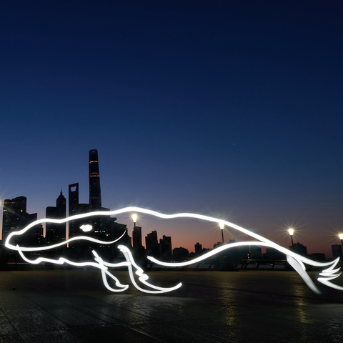 Mythical Creatures – Shanghai Giant Kun  - Light Painting Art- Artezaar.com Online Art Gallery