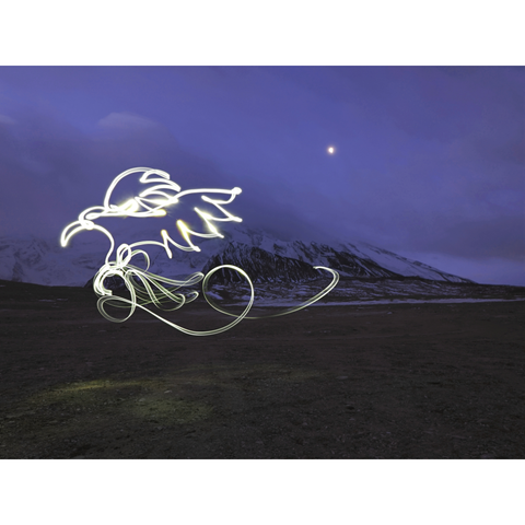 One Line Light Art – The Pamir Eagle - Light Painting Art- Artezaar.com Online Art Gallery