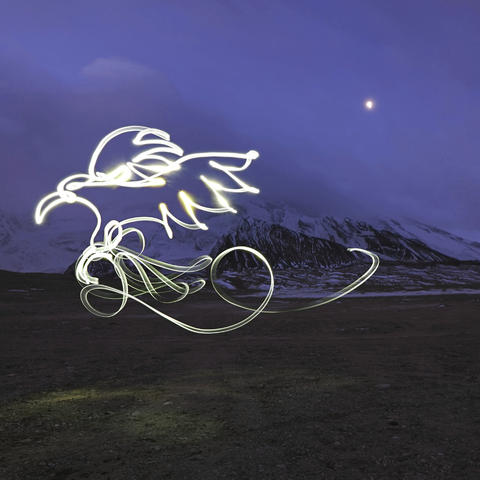 One Line Light Art – The Pamir Eagle - Light Painting Art- Artezaar.com Online Art Gallery