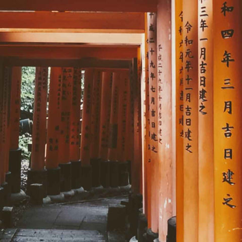 Path of a Thousand Gates Photography Print Buy Now on Artezaar.com Online Art Gallery Dubai UAE