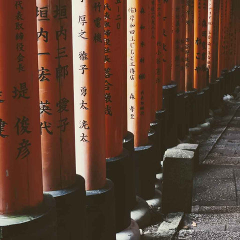 Path of a Thousand Gates Photography Print Buy Now on Artezaar.com Online Art Gallery Dubai UAE