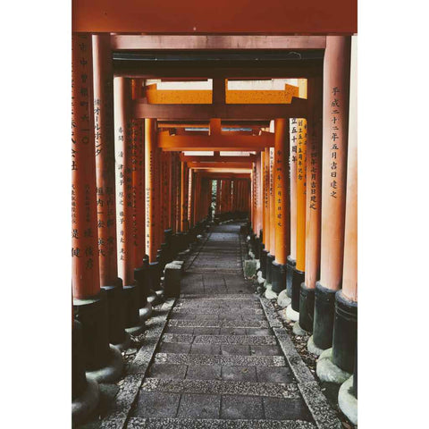 Path of a Thousand Gates Photography Print Buy Now on Artezaar.com Online Art Gallery Dubai UAE