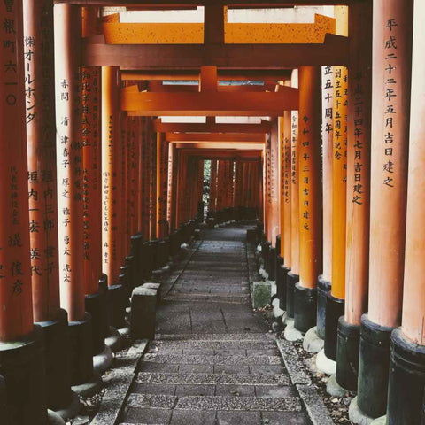 Path of a Thousand Gates Photography Print Buy Now on Artezaar.com Online Art Gallery Dubai UAE