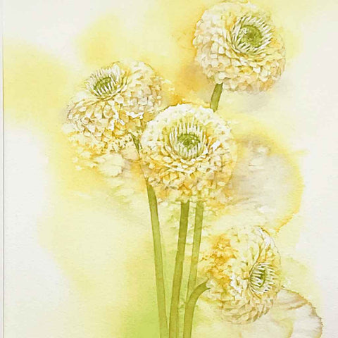 Pon Pon - Watercolor Painting - Artezaar.com Online Art Gallery