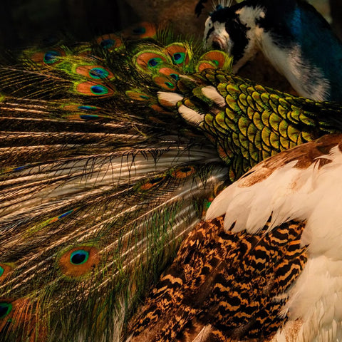 Quiet Splendour - Photography - Artezaar.com Online Art Gallery
