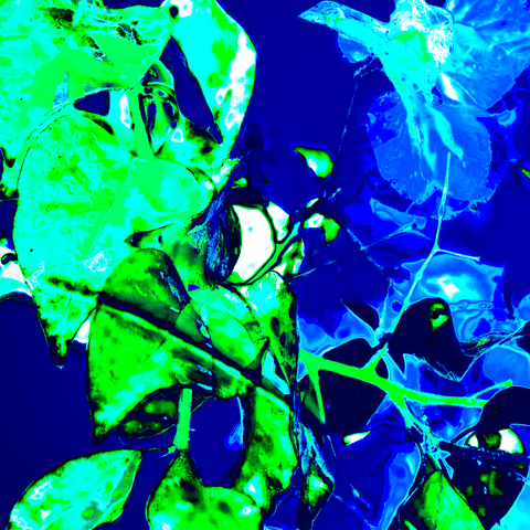 Retro Flowers Blue - Photography - Artezaar.com Online Art Gallery