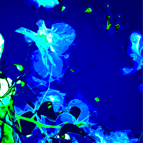 Retro Flowers Blue - Photography - Artezaar.com Online Art Gallery