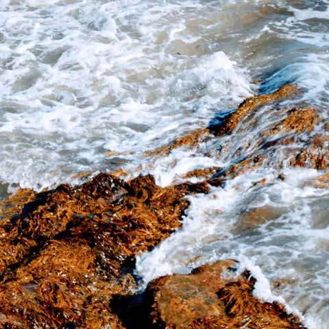Salt and Stillness Seascape Photography Print Buy Now on Artezaar.com Online Art Gallery Dubai UAE