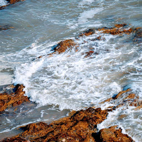 Salt and Stillness Seascape Photography Print Buy Now on Artezaar.com Online Art Gallery Dubai UAE