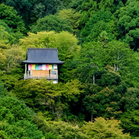 Sanctuary in Green Photography Print Buy Now on Artezaar.com Online Art Gallery Dubai UAE