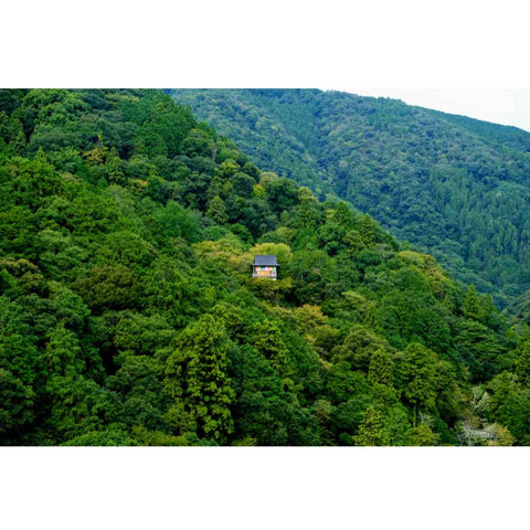 Sanctuary in Green Photography Print Buy Now on Artezaar.com Online Art Gallery Dubai UAE