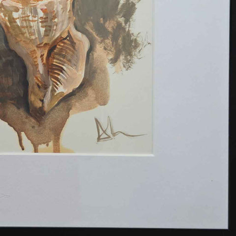 Seashell Oil Painting Buy Now on Artezaar.com Online Art Gallery Dubai UAE