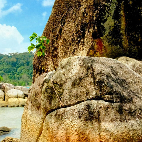 Sentinel Of The Shore - Photography - Artezaar.com Online Art Gallery