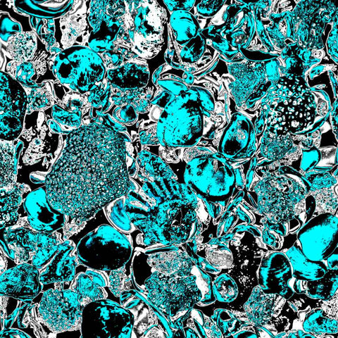 Shells (Blue)  - Photography - Artezaar.com Online Art Gallery