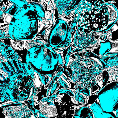 Shells (Blue)  - Photography - Artezaar.com Online Art Gallery