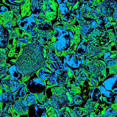 Shells (Green) - Photography - Artezaar.com Online Art Gallery