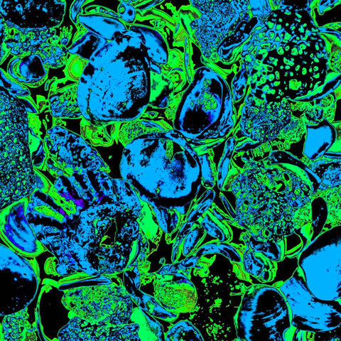 Shells (Green) - Photography - Artezaar.com Online Art Gallery