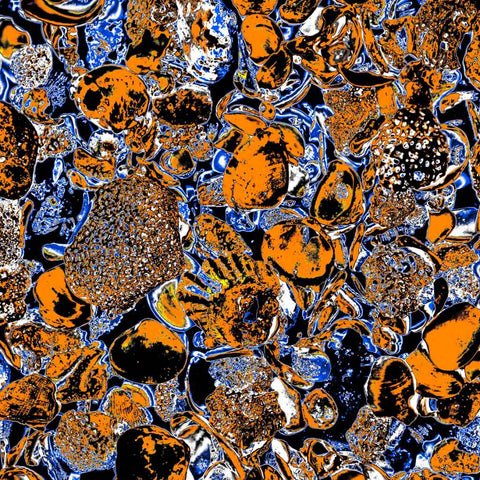 Shells (Orange) - Photography - Artezaar.com Online Art Gallery