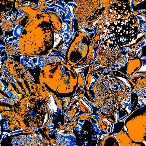 Shells (Orange) - Photography - Artezaar.com Online Art Gallery