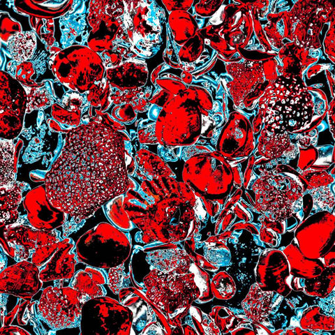 Shells (Red) - Photography - Artezaar.com Online Art Gallery