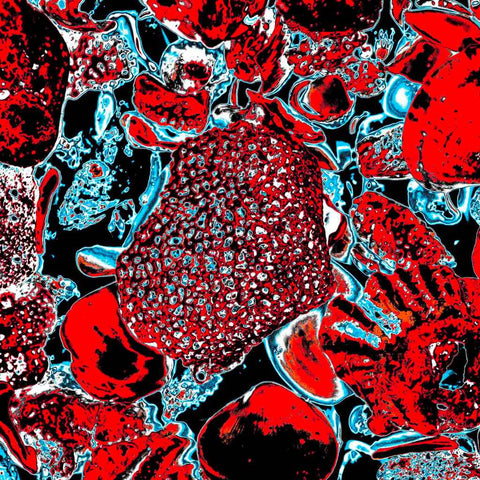 Shells (Red) - Photography - Artezaar.com Online Art Gallery