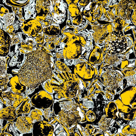 Shells (Yellow) - Photography - Artezaar.com Online Art Gallery