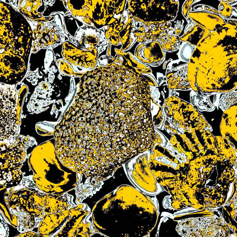 Shells (Yellow) - Photography - Artezaar.com Online Art Gallery