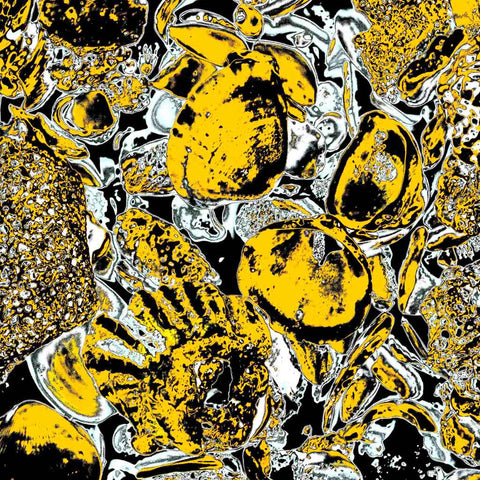 Shells (Yellow) - Photography - Artezaar.com Online Art Gallery