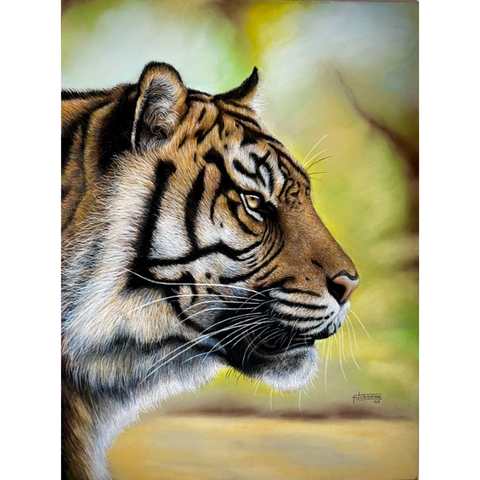 Silent Focus  - Sketches & Drawings - Artezaar.com Online Art Gallery