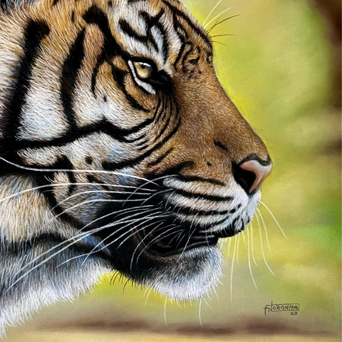 Silent Focus  - Sketches & Drawings - Artezaar.com Online Art Gallery