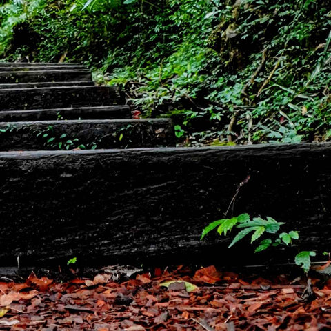 Steps To Stillness Photography Print Buy Now on Artezaar.com Online Art Gallery Dubai UAE