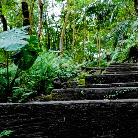 Steps To Stillness Photography Print Buy Now on Artezaar.com Online Art Gallery Dubai UAE