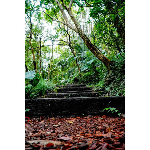 Steps To Stillness Photography Print Buy Now on Artezaar.com Online Art Gallery Dubai UAE