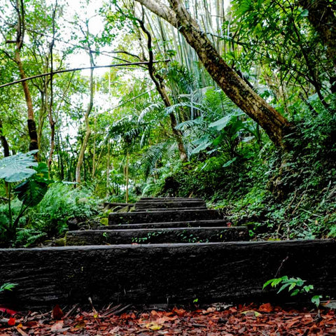 Steps To Stillness Photography Print Buy Now on Artezaar.com Online Art Gallery Dubai UAE
