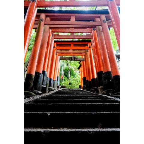 Steps Towards The Sacred Photograph Print Buy Now on Artezaar.com Online Art Gallery Dubai UAE