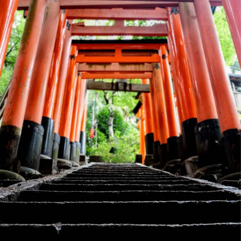 Steps Towards The Sacred Photograph Print Buy Now on Artezaar.com Online Art Gallery Dubai UAE