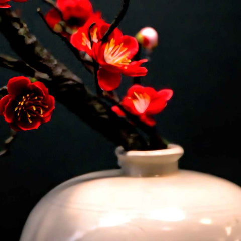 Stillness, Bloomed Photography Print Buy Now on Artezaar.com Online Art Gallery Dubai UAE