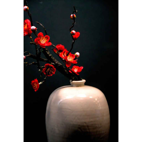 Stillness, Bloomed Photography Print Buy Now on Artezaar.com Online Art Gallery Dubai UAE